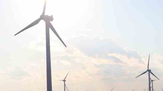 好听的生物公司名字大全 - 个性名字网