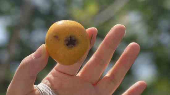 烧烤店名字两个字 - 个性名字网