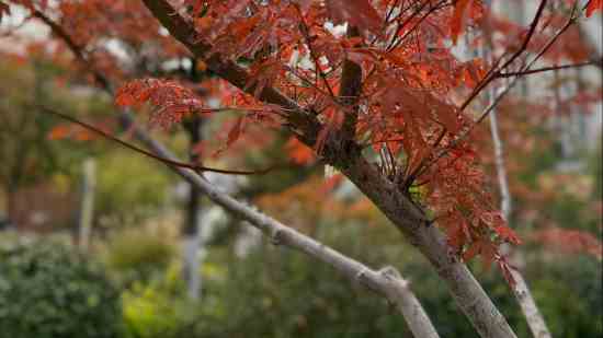 节能环保公司大气响亮的名字
