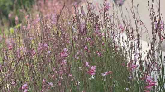 百货店名字简约大气