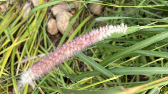 好听的QQ情侣昵称大全