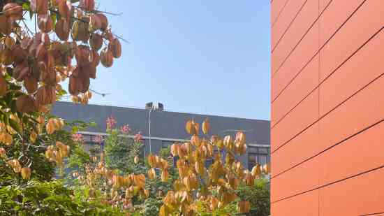 女生简单小清新网名