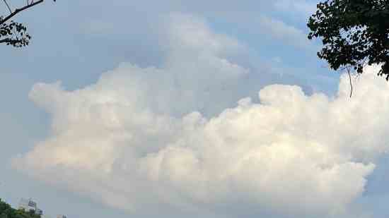 姓苗的男孩名字