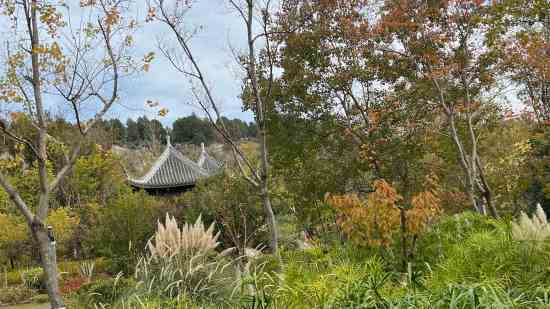 神仙道霸气游戏名