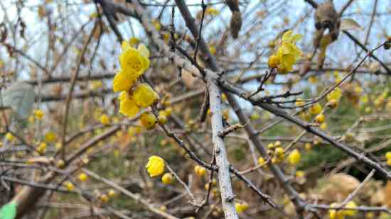 姓熊女孩三个字