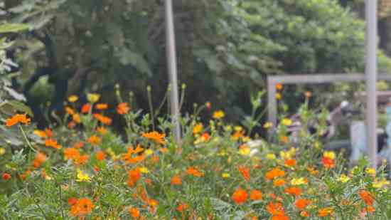 姓盛女孩三个字