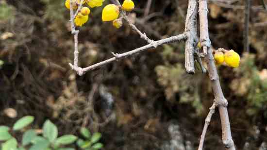 特种部队个性游戏名字