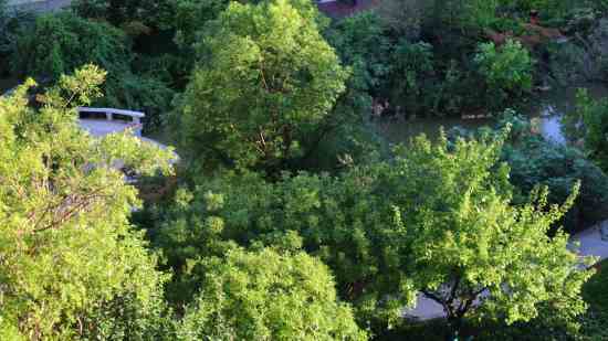 诛仙个性情侣名字