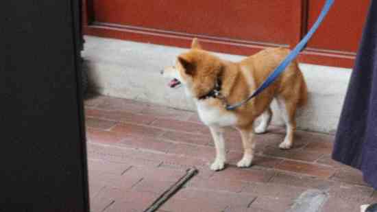 有关于雪的游戏网名