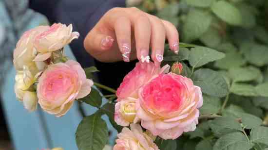 洋气的姓秋男孩