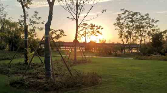 好听的梦幻西游游戏名字