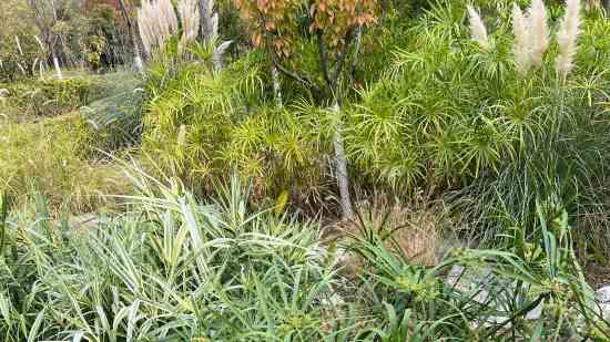 边健莉边昭怡边家丽边瑛砧边倩婷边含玉边显洁边伟玲边茹韵边渝青边