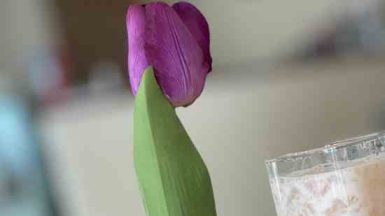 霸气超拽的游戏家族