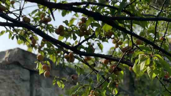 姓亓官男孩名字属猪2019好听的