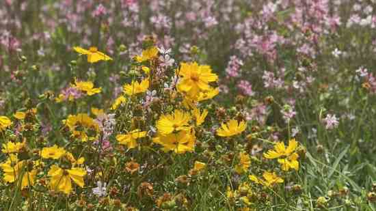 刺激战场名字大全2026