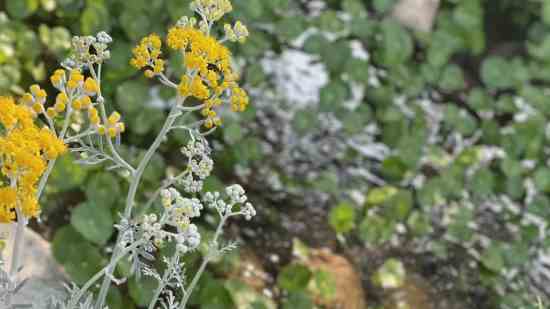 可爱洋气乳名大