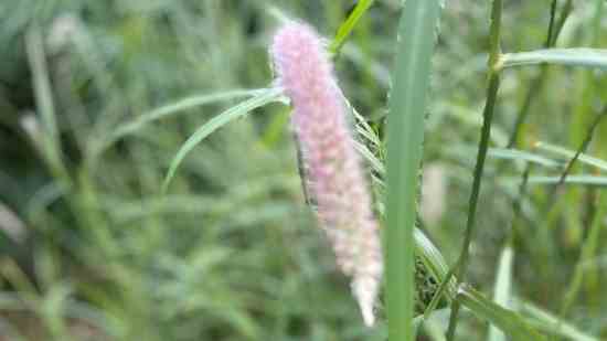 小孩乳名带寓意