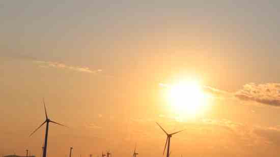 高贵洋气的猫猫