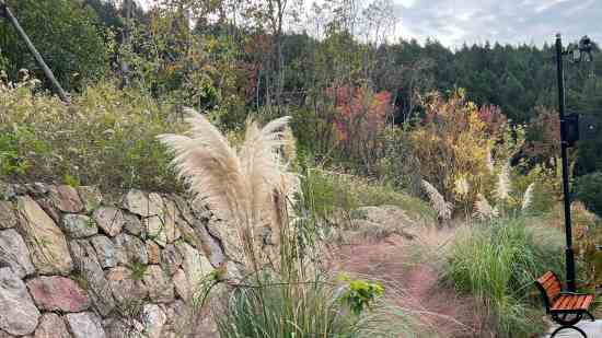 婴儿小名比较萌