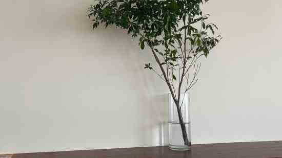 微信昵称大全2026