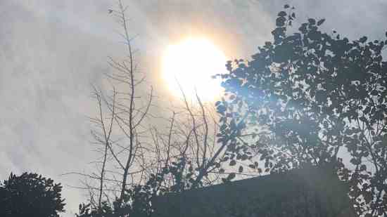 好听有气质的马