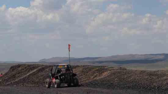 长毛猫咪名字大