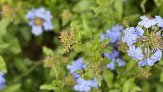 好听灵动的宝宝小名2026