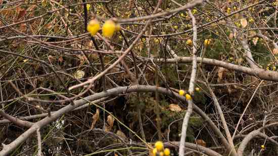 90后网名大全好听的