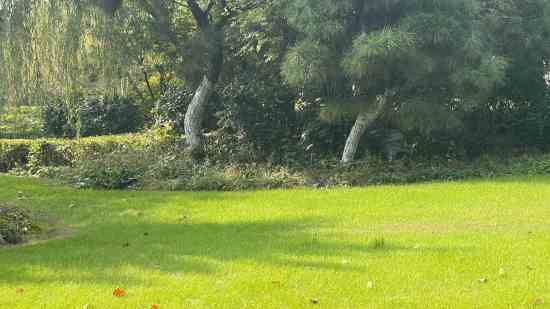 沃茨特建材公司慧友得建材公司峰源建材公司传惟印象建材公司纳云建材