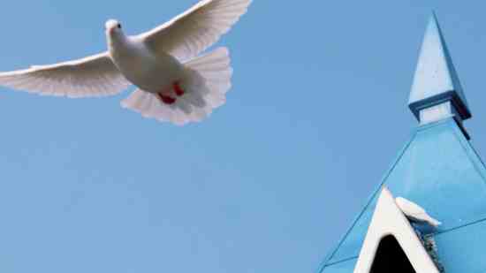 电缆公司简洁好